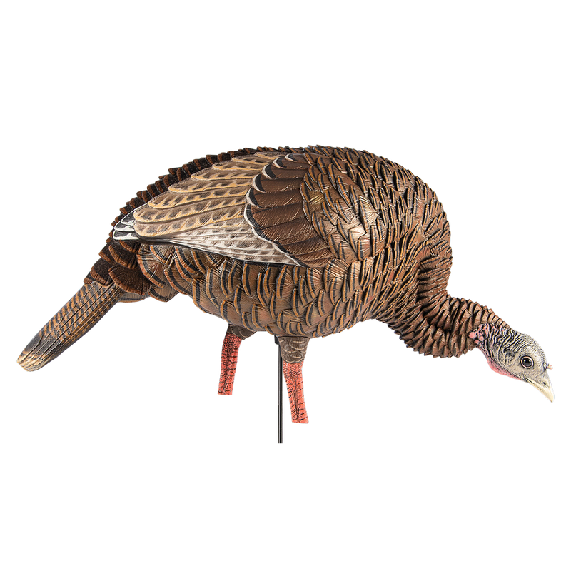 Avian-X - HDR Feeding Hen Turkey Decoy