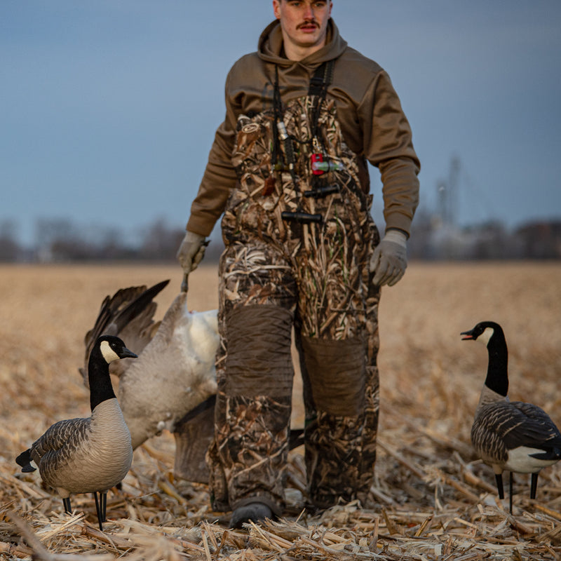 Avian-X - AXP Honkers Feeder Pack 6 Decoys