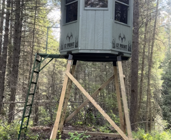 12 Point Hunting Blinds - 6' Octagon: The Condo