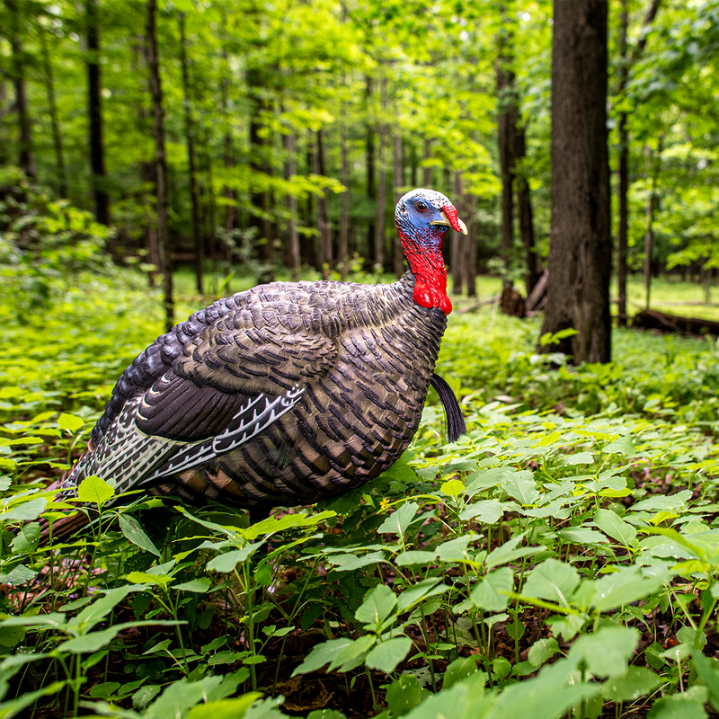 Avian-X - LCD Breeder Hen Turkey Decoy