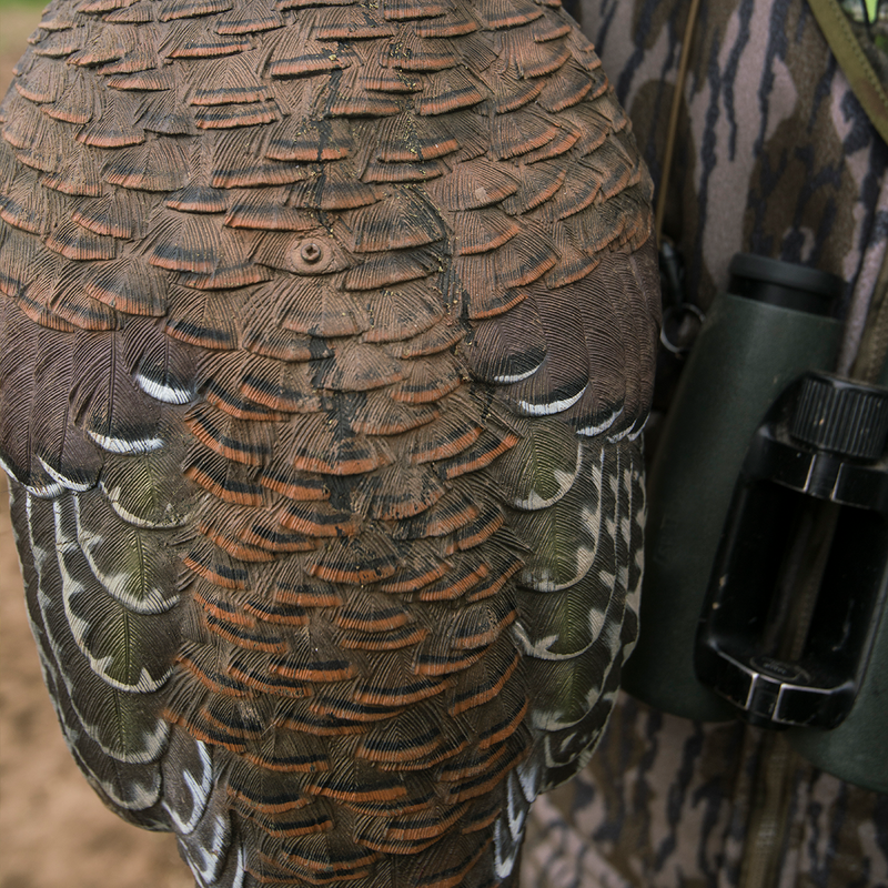 Avian-X - LCD Breeder Hen Turkey Decoy