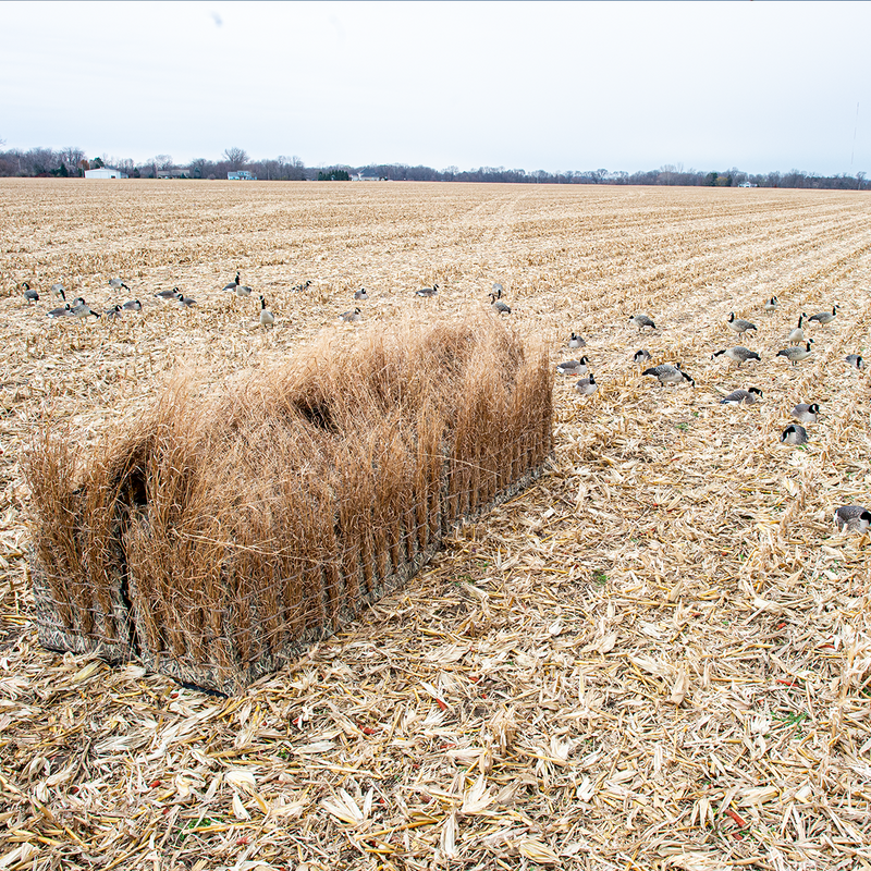 Avian-X - A-Frame Blind Mossy Oak Shadow Grass Blades