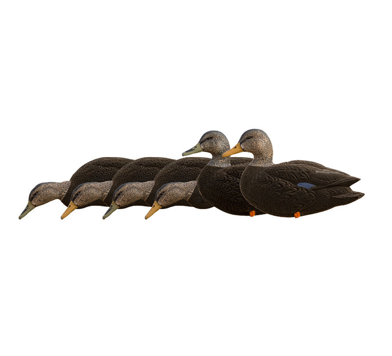 Avian-X - AXF Flocked Full Body Black Ducks: Fusion Pack