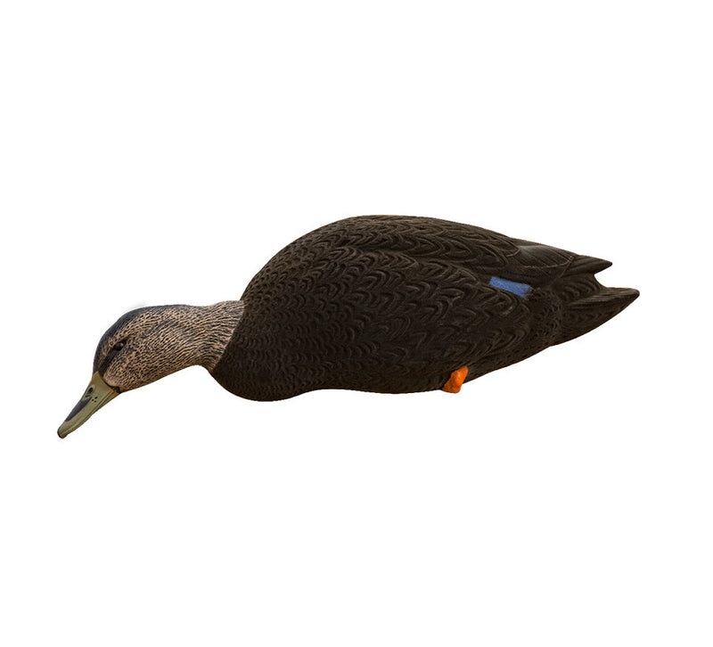 Avian-X - AXF Flocked Full Body Black Ducks: Fusion Pack