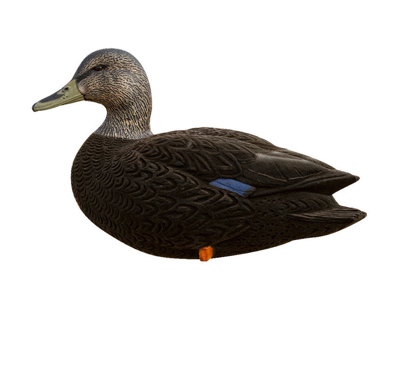 Avian-X - AXF Flocked Full Body Black Ducks: Fusion Pack