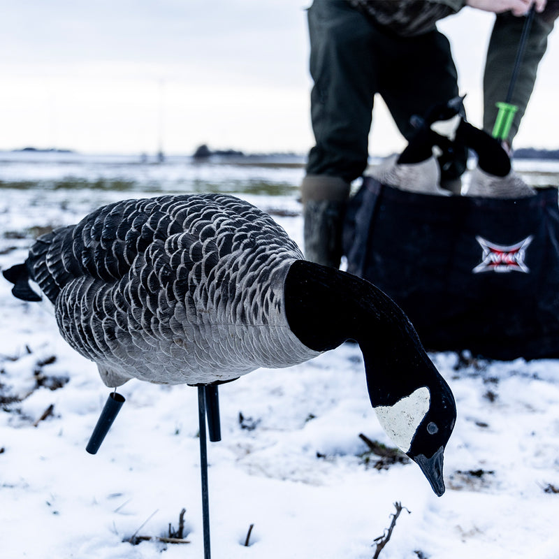 Avian-X - AXF Lessers Outfitter Pack 12 Decoys with Bag