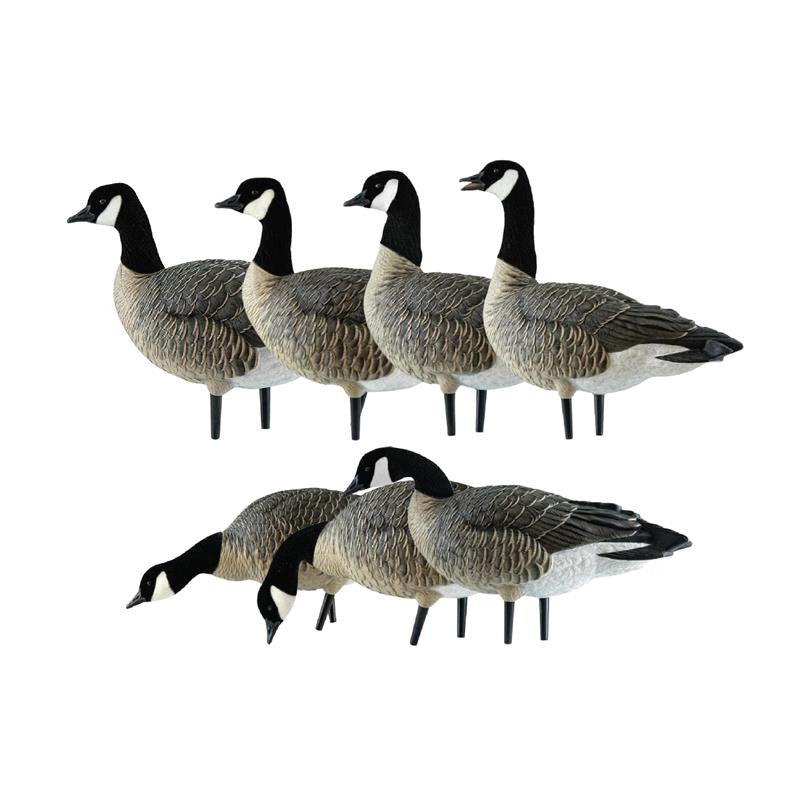 Goose Decoys