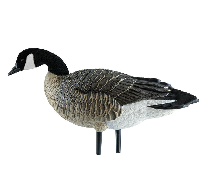 Avian-X - AXF Lessers Outfitter Pack 12 Decoys with Bag