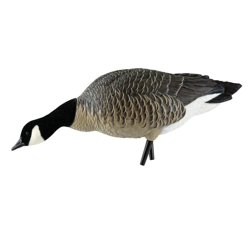 Avian-X - AXF Lessers Outfitter Pack 12 Decoys with Bag