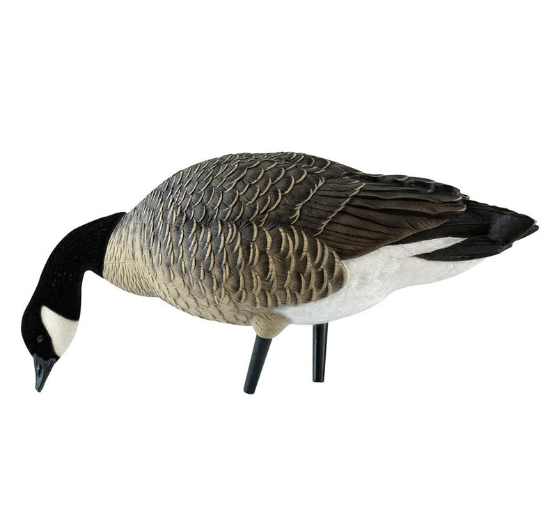 Avian-X - AXF Lessers Outfitter Pack 12 Decoys with Bag