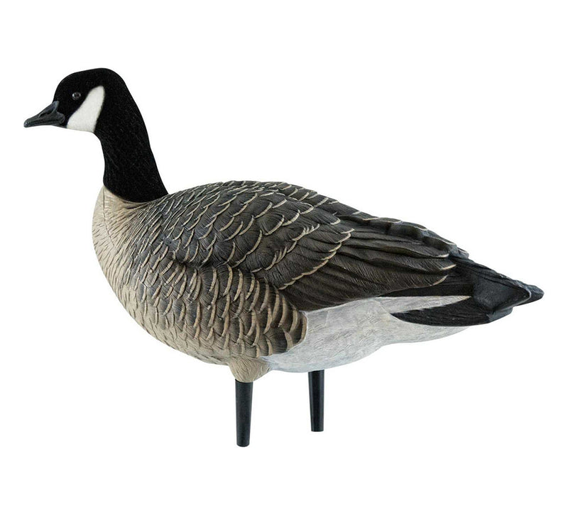 Avian-X - AXF Lessers Outfitter Pack 12 Decoys with Bag