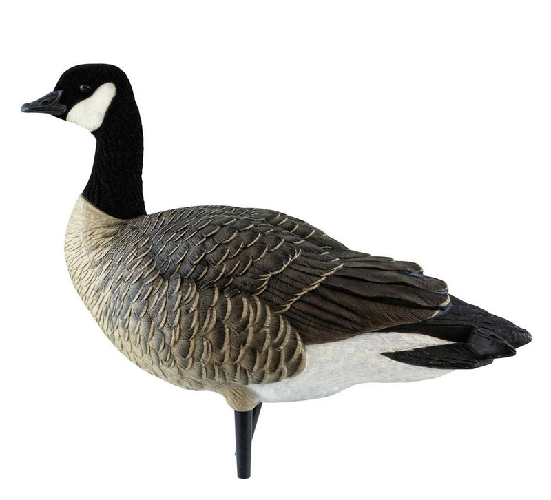 Avian-X - AXF Lessers Outfitter Pack 12 Decoys with Bag