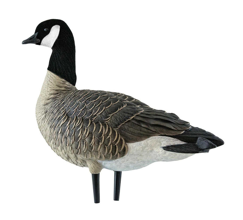 Avian-X - AXF Lessers Outfitter Pack 12 Decoys with Bag