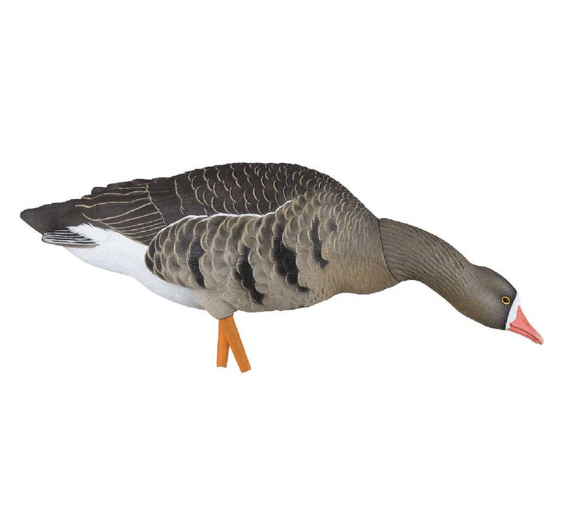 Avian-X - AXF Specklebelly Fusion Pack 6 Decoys