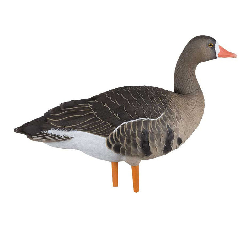 Avian-X - AXF Specklebelly Fusion Pack 6 Decoys