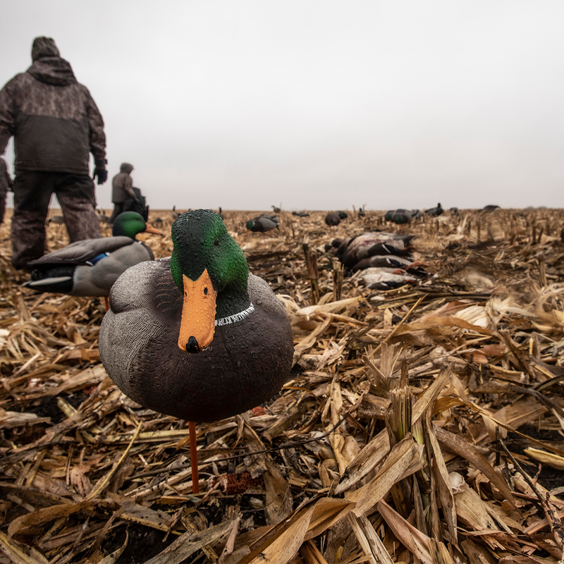 Avian-X - AXP Full Body Mallards: Fusion Pack