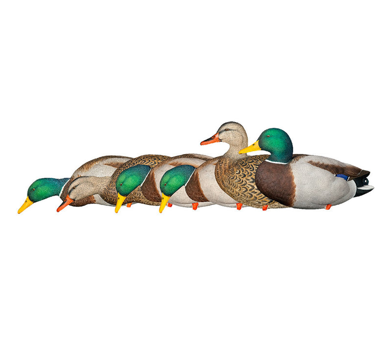 Avian-X - AXP Full Body Mallards: Fusion Pack