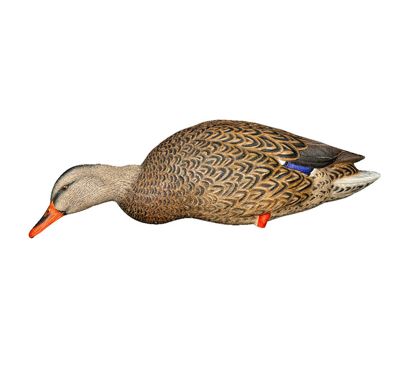 Avian-X - AXP Full Body Mallards: Fusion Pack