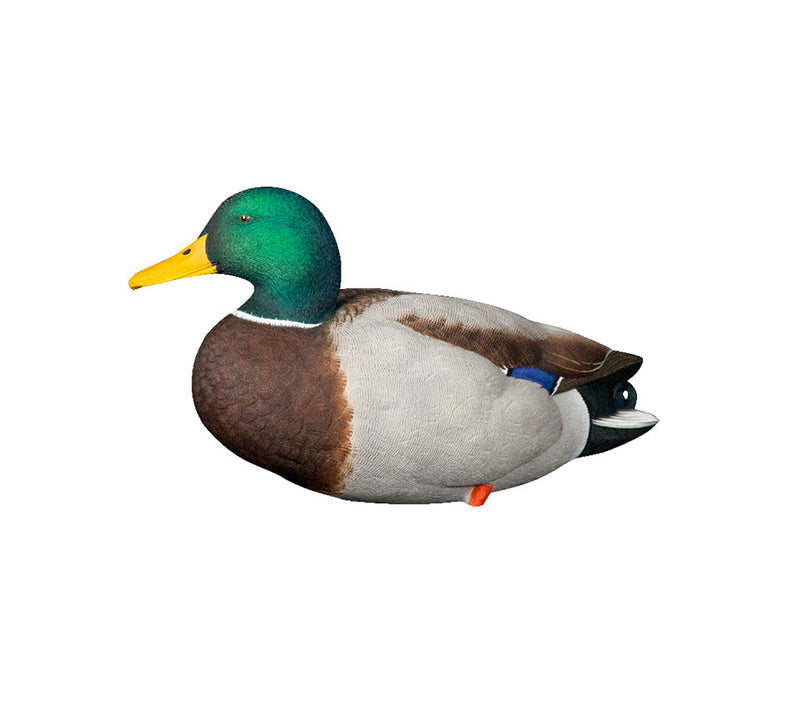 Avian-X - AXP Full Body Mallards: Fusion Pack