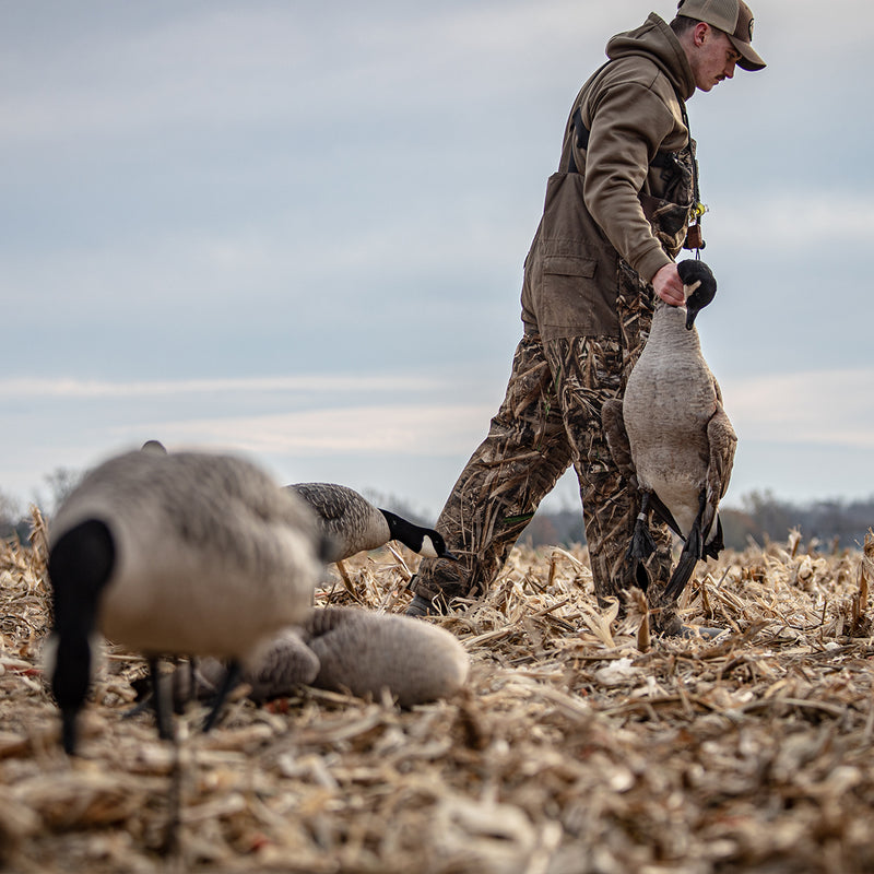 Avian-X - AXP Honkers Fusion Pack 6 Decoys