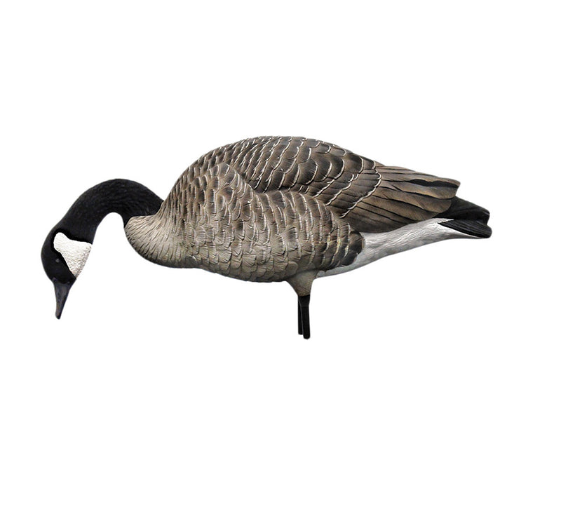 Avian-X - AXP Honkers Fusion Pack 6 Decoys