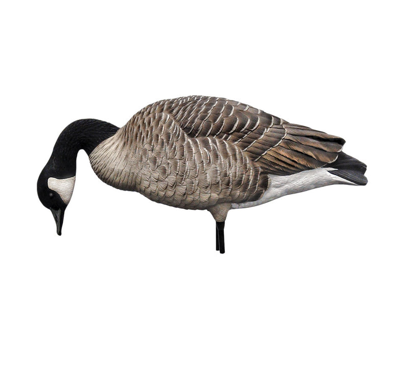 Avian-X - AXP Honkers Fusion Pack 6 Decoys