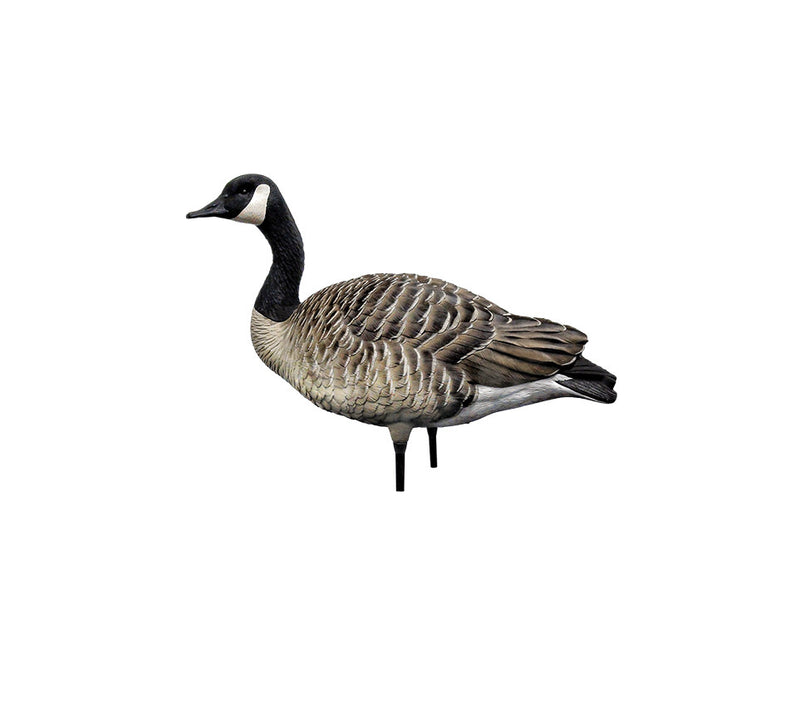 Avian-X - AXP Honkers Fusion Pack 6 Decoys
