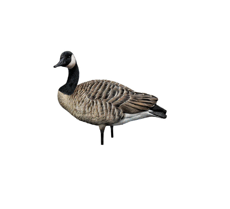 Avian-X - AXP Honkers Fusion Pack 6 Decoys