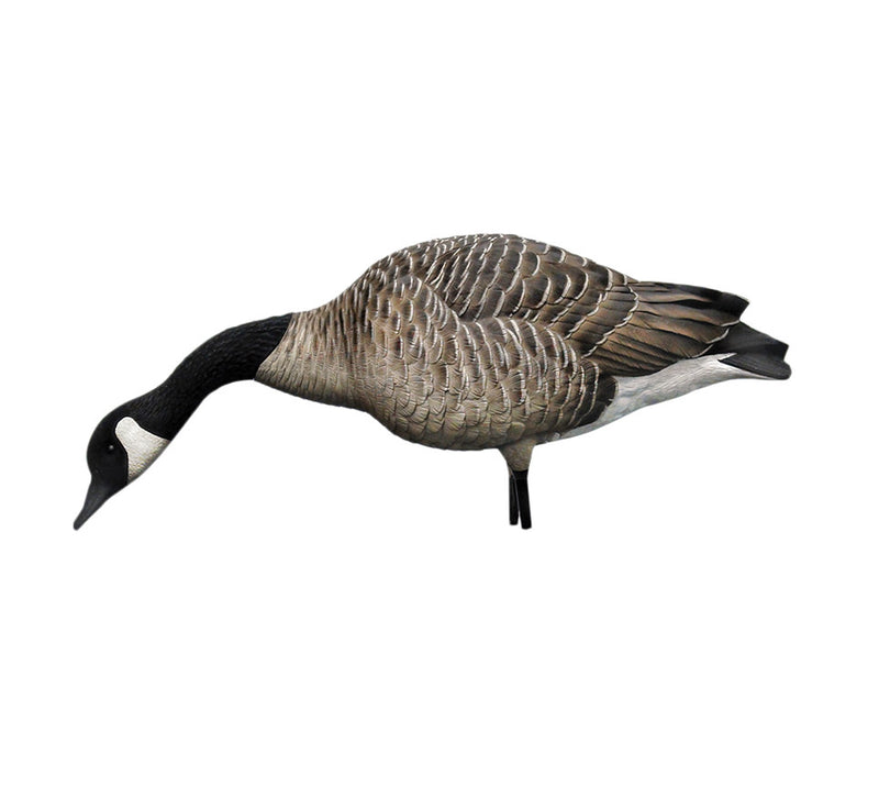 Avian-X - AXP Honkers Fusion Pack 6 Decoys
