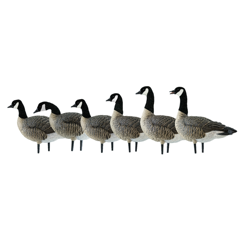 Avian-X - AXP Lessers Active Pack 6 Decoys