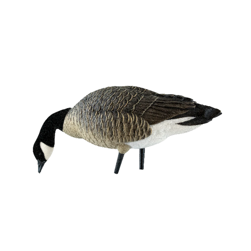 Avian-X - AXP Lessers Feeder Pack 6 Decoys