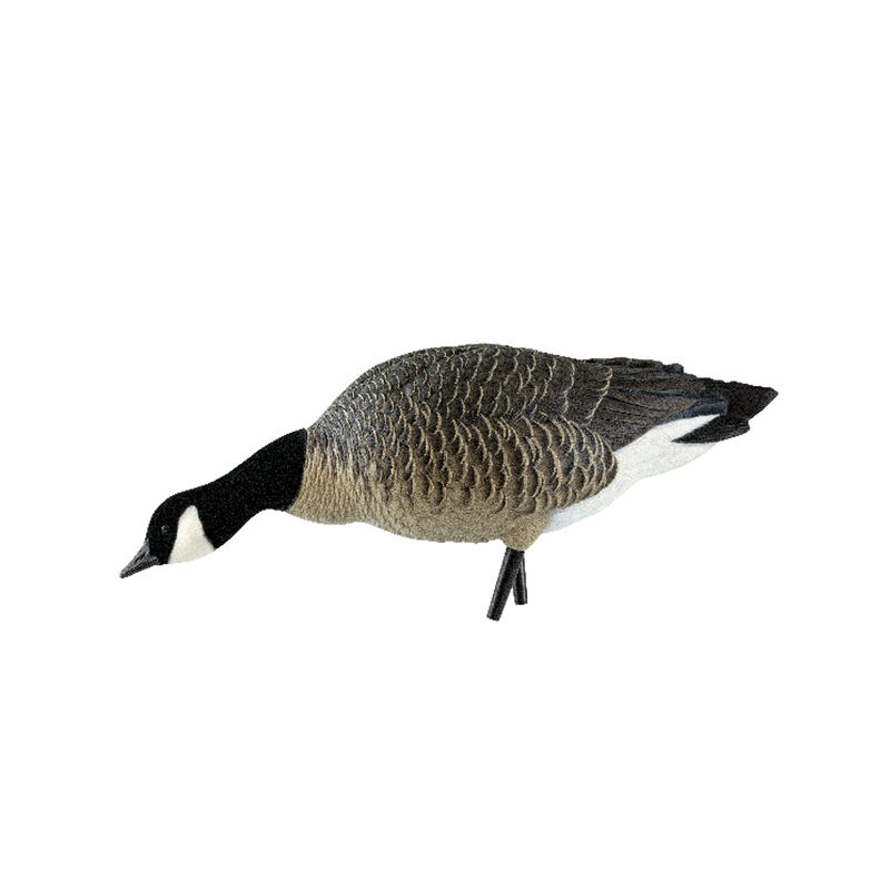 Avian-X - AXP Lessers Feeder Pack 6 Decoys