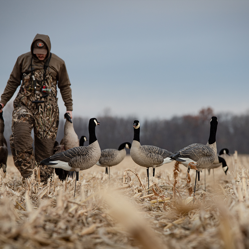 Avian-X - AXP Lessers Outfitter Pack 12 Decoys with Bag