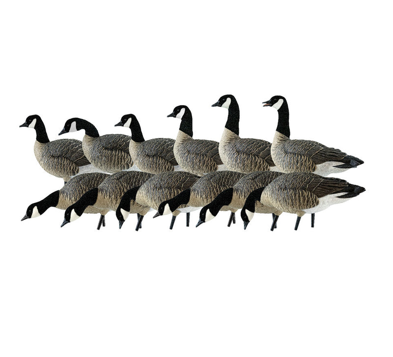 Avian-X - AXP Lessers Outfitter Pack 12 Decoys with Bag