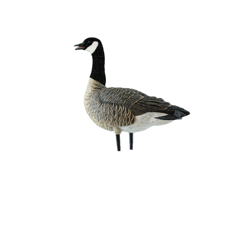 Avian-X - AXP Lessers Outfitter Pack 12 Decoys with Bag