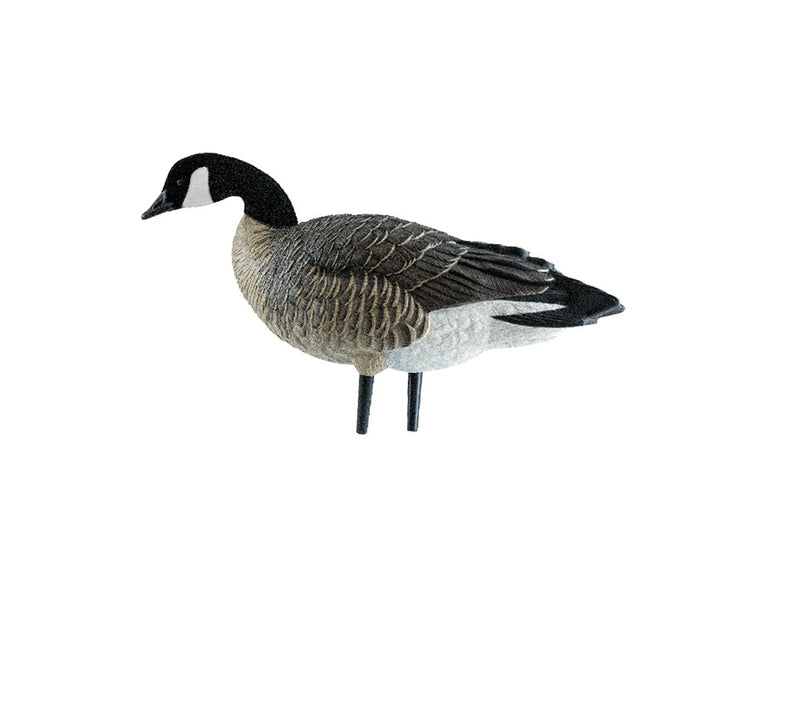 Avian-X - AXP Lessers Outfitter Pack 12 Decoys with Bag