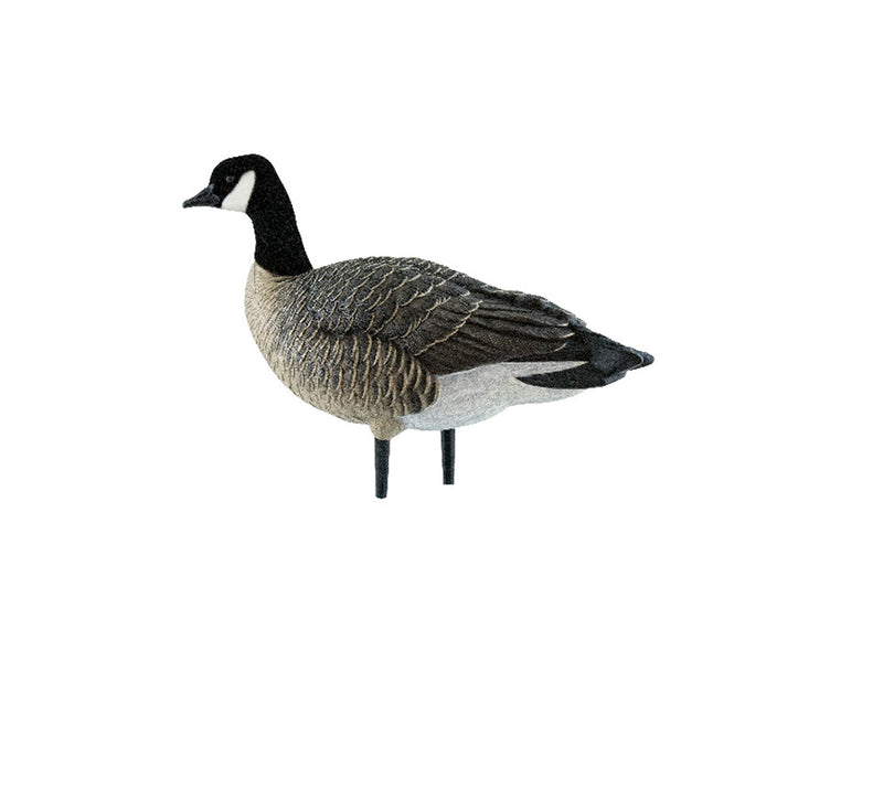 Avian-X - AXP Lessers Outfitter Pack 12 Decoys with Bag