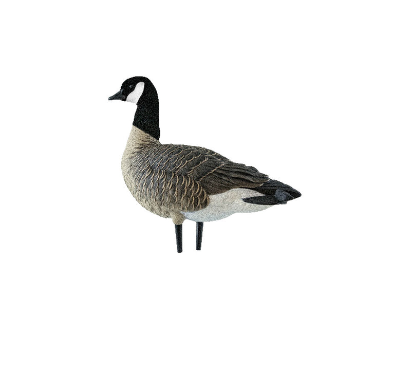 Avian-X - AXP Lessers Outfitter Pack 12 Decoys with Bag