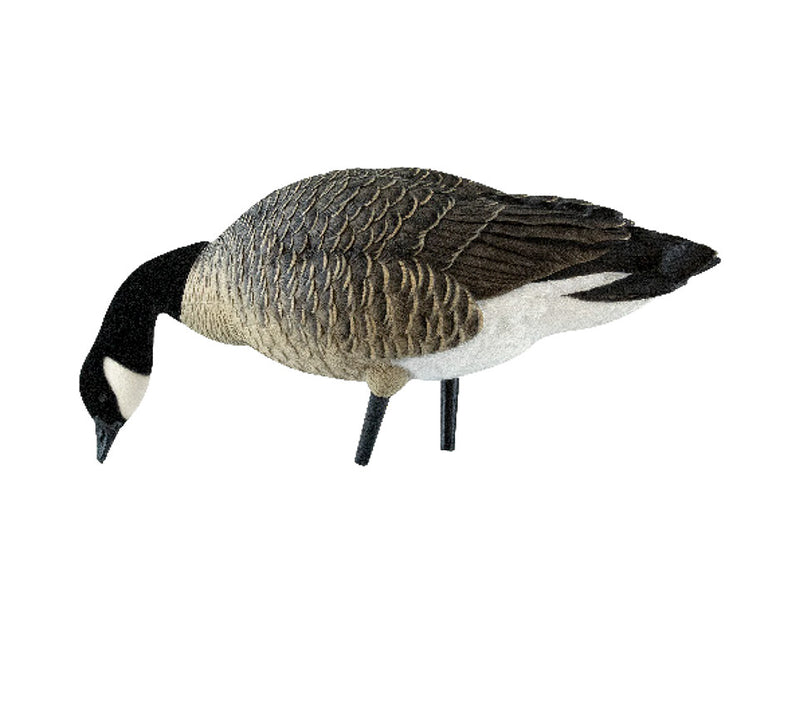 Avian-X - AXP Lessers Outfitter Pack 12 Decoys with Bag