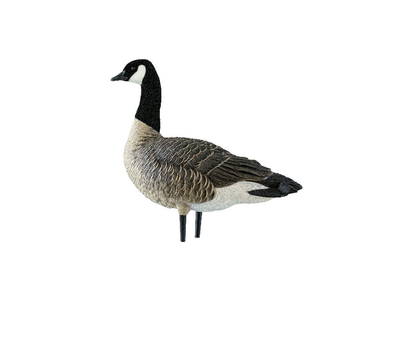 Avian-X - AXP Lessers Outfitter Pack 12 Decoys with Bag