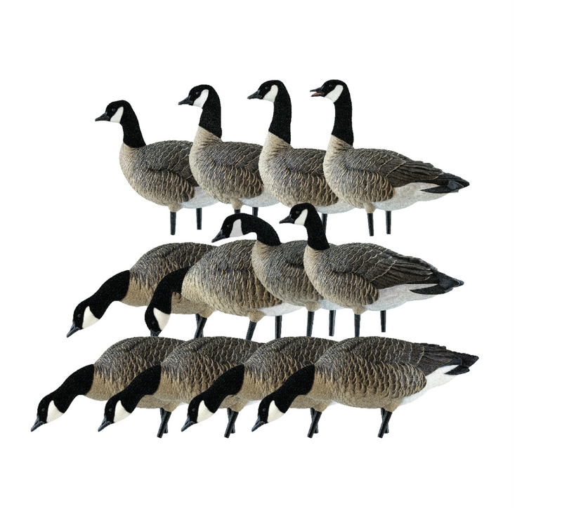Avian-X - AXP Lessers Outfitter Pack 12 Decoys with Bag