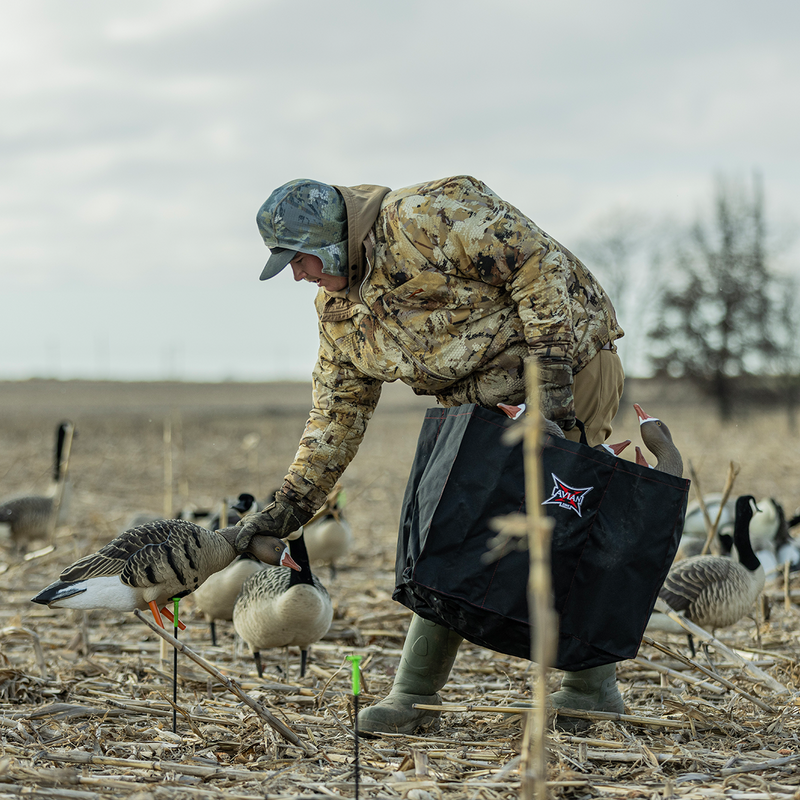 Avian-X - AXP Specklebelly Fusion Pack 6 Decoys