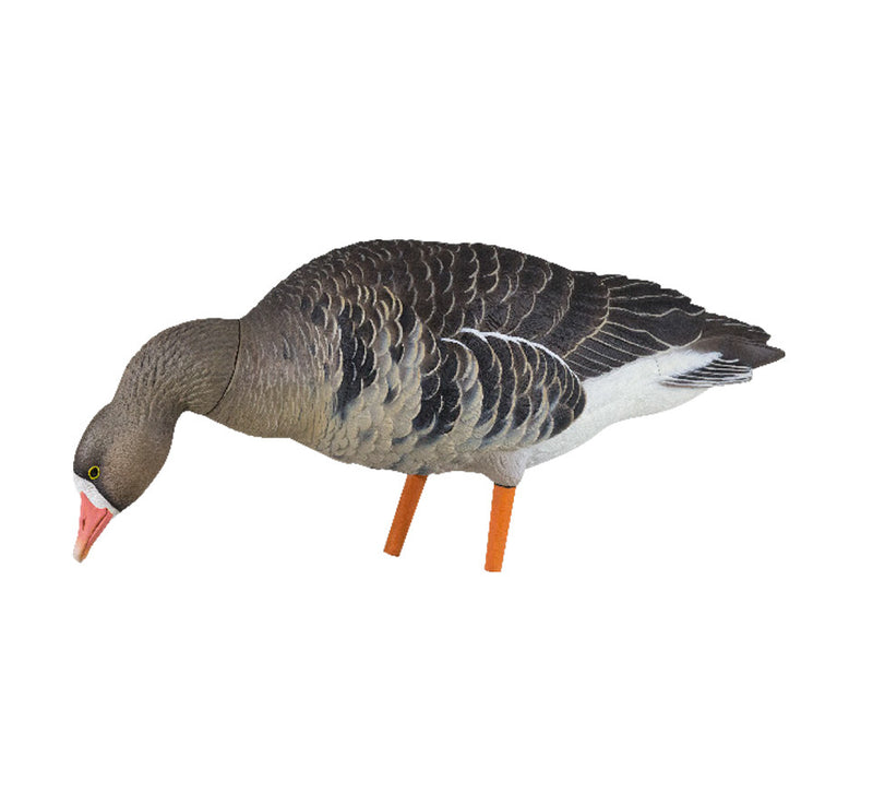 Avian-X - AXP Specklebelly Fusion Pack 6 Decoys