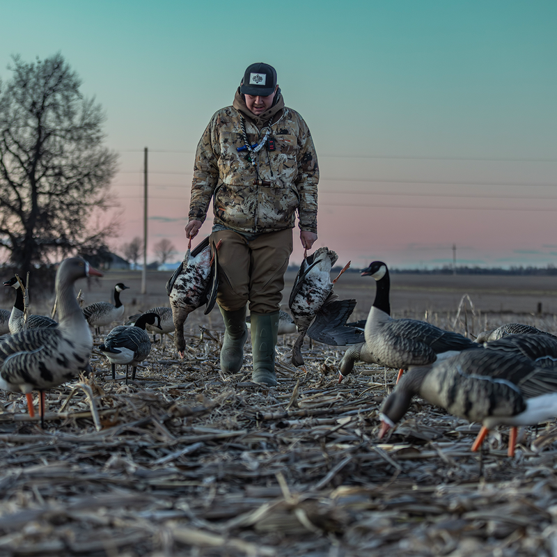 Avian-X - AXP Specklebelly Fusion Pack 6 Decoys