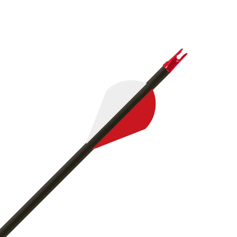 Gold Tip - Hunter 2in Raptor Vanes 1/2DZ - Arrow Shafts