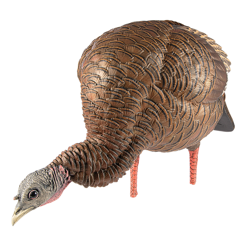 Avian-X - HDR Feeding Hen Turkey Decoy