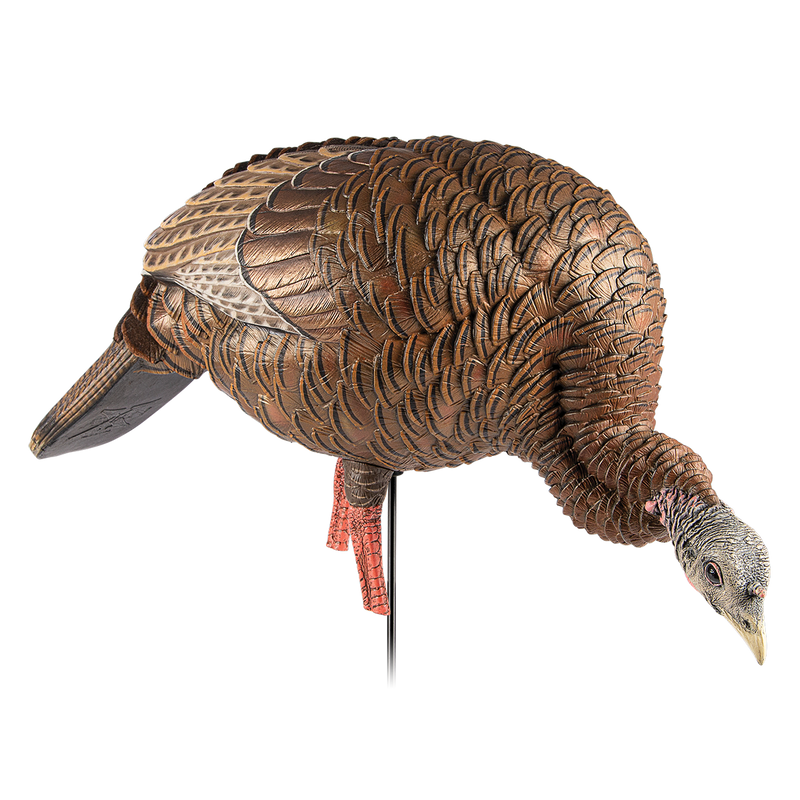 Avian-X - HDR Feeding Hen Turkey Decoy