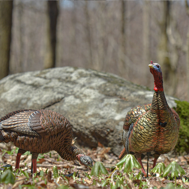 Avian-X - HDR Feeding Hen Turkey Decoy