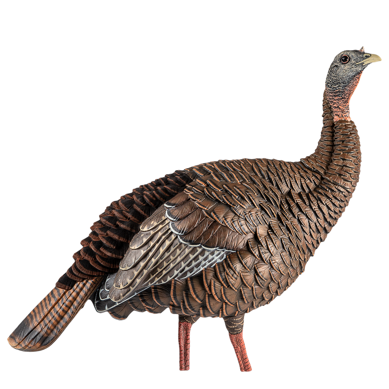 Avian-X - HDR Hen Turkey Decoy