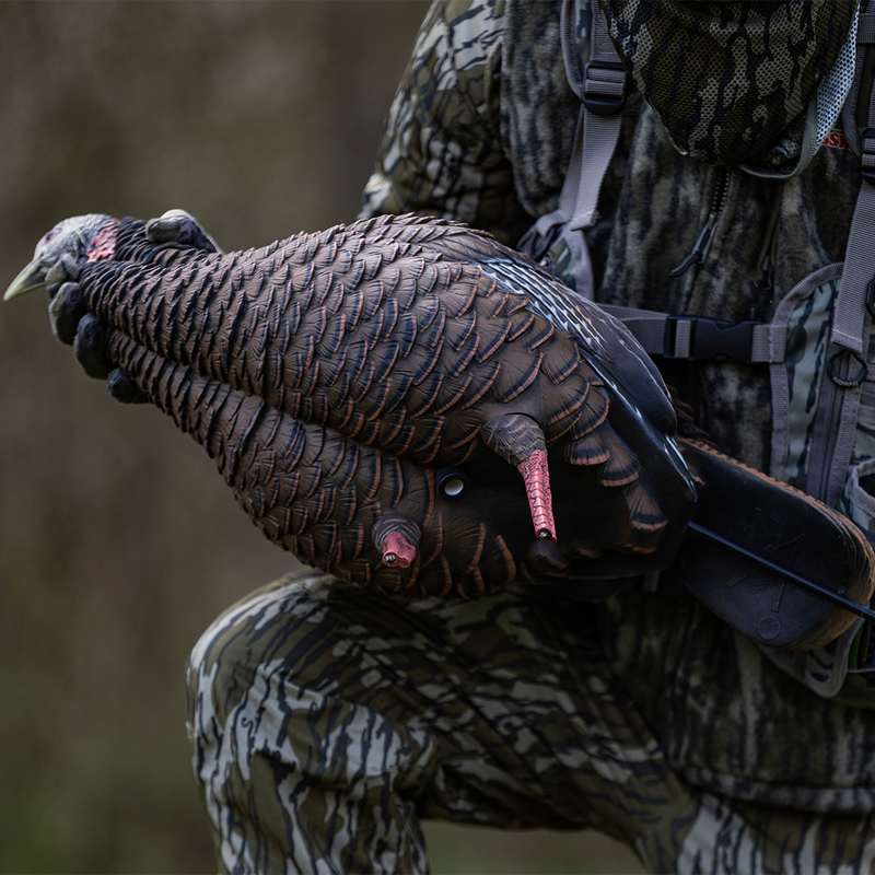Avian-X - HDR Hen Turkey Decoy